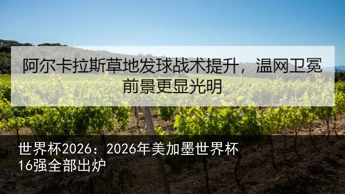世界杯2026：2026年美加墨世界杯16强全部出炉