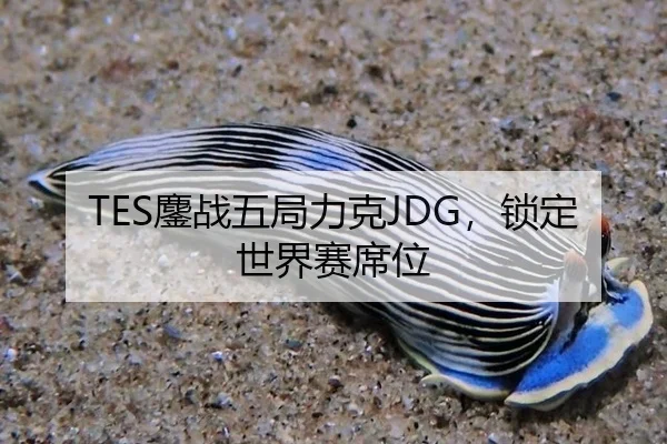 TES鏖战五局力克JDG，锁定世界赛席位