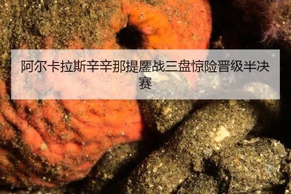 阿尔卡拉斯辛辛那提鏖战三盘惊险晋级半决赛
