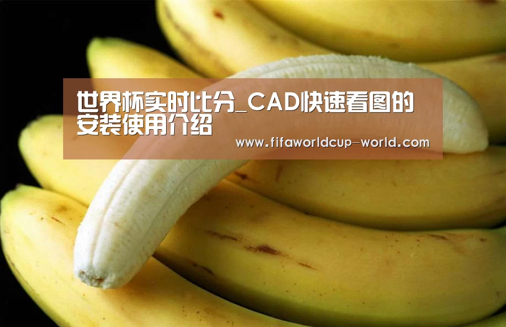 世界杯娱乐中心